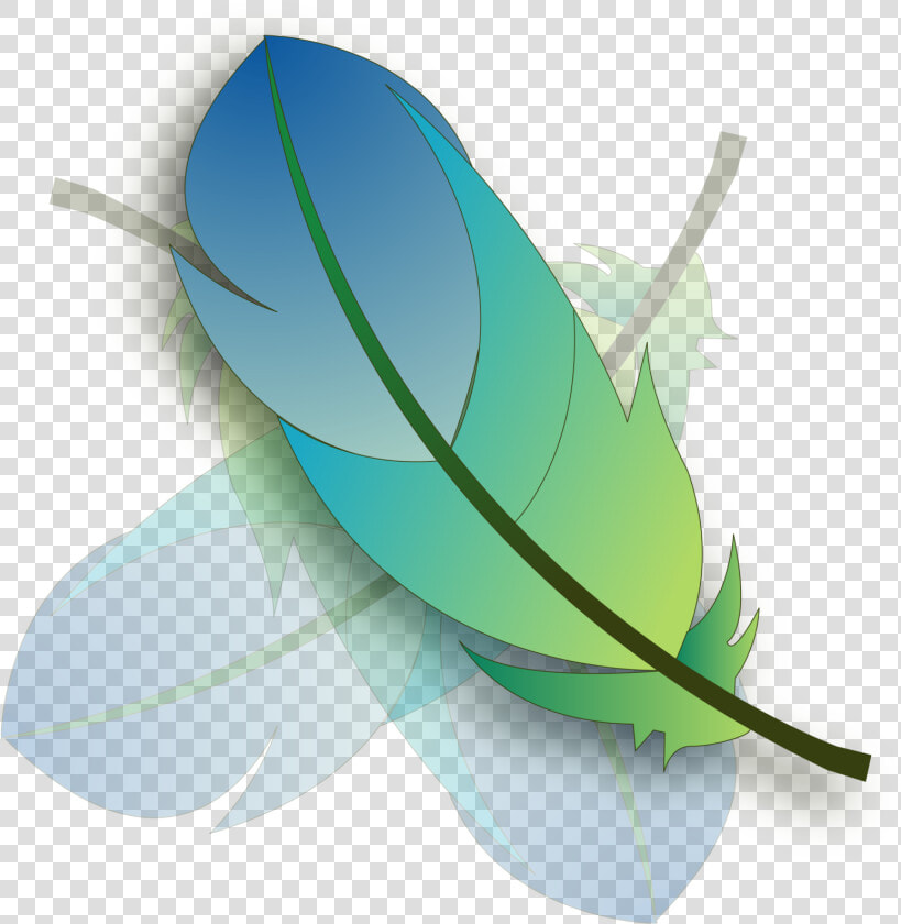 Photoshop Feather Logo Png   Png Download   Photoshop Feather Logo Png  Transparent PngTransparent PNG