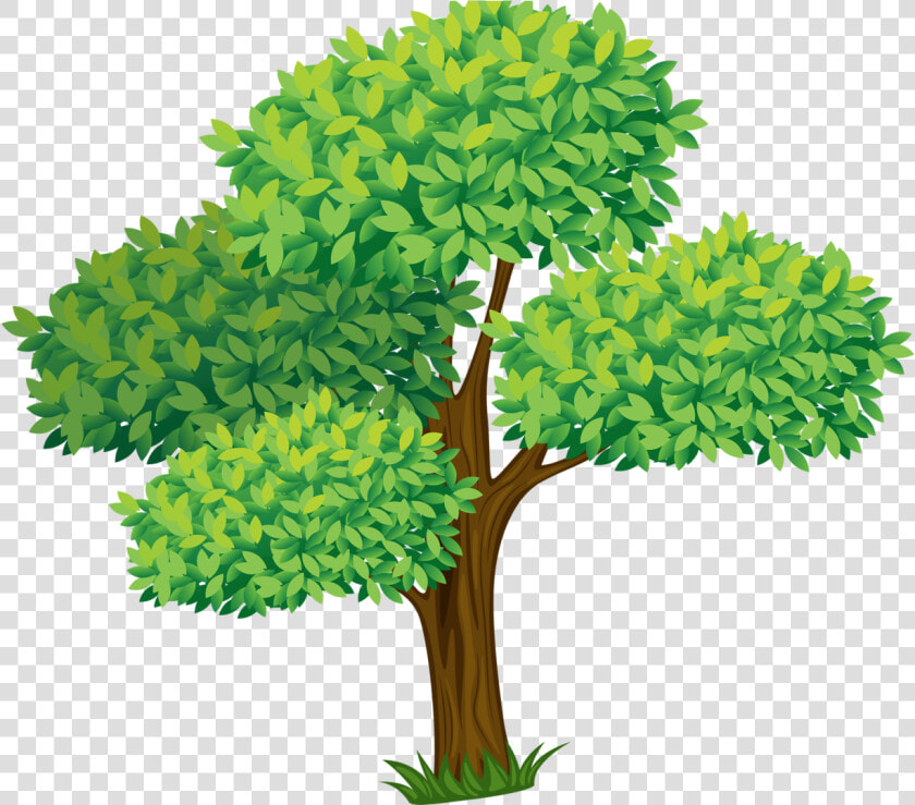 Transparent Planting Clipart   Trees Cartoon  HD Png DownloadTransparent PNG