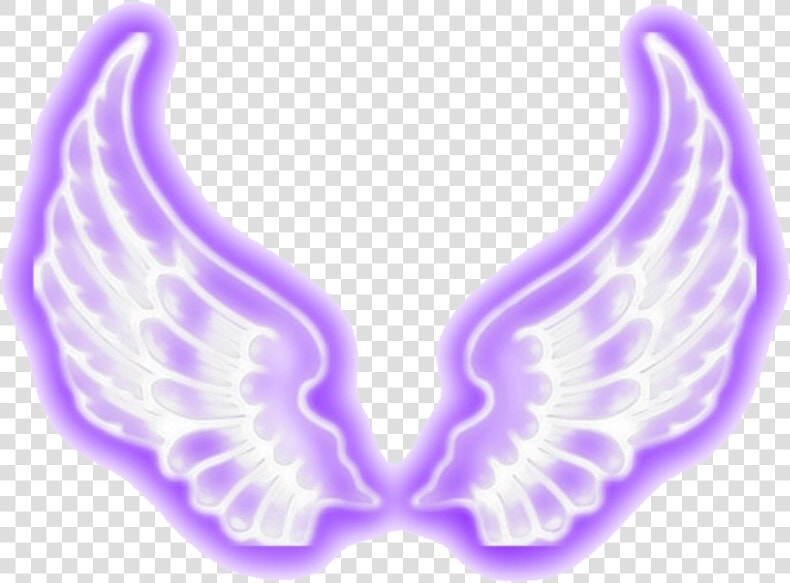 Wings Neon Transparent   Angel Wings Neon Png  Png DownloadTransparent PNG