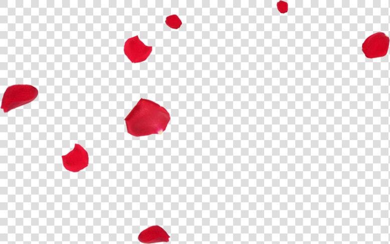 Roses  Rose Petals  Big File  Store Jesus Richmond   Pétalos De Rosa Png  Transparent PngTransparent PNG