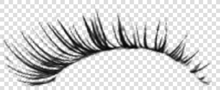 Eyelash   Fake Eyelash Png  Transparent PngTransparent PNG