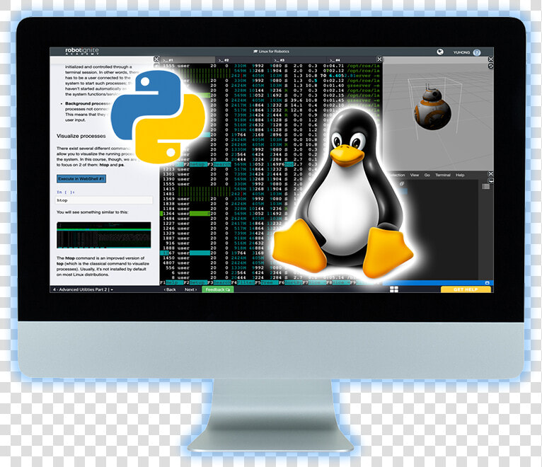 Get Python  amp  Linux Ready   Adã©lie Penguin  HD Png DownloadTransparent PNG