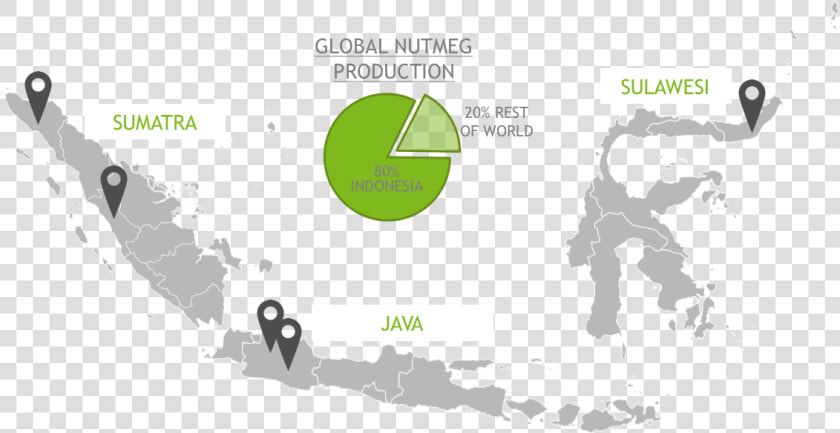 Nutmeg All   Indonesia Map Vector Png  Transparent PngTransparent PNG