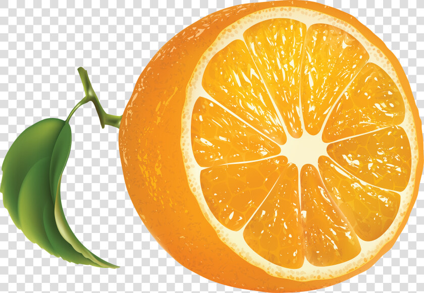 Oranges Png Image   Orange Png  Transparent PngTransparent PNG