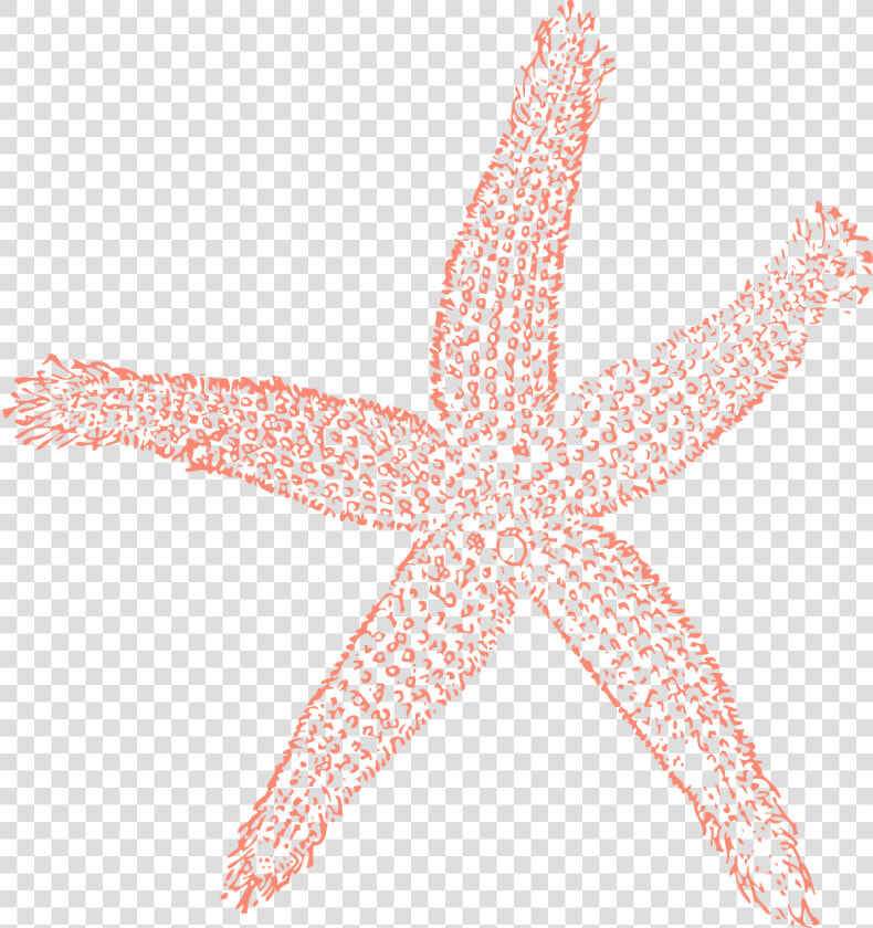 Starfish Ocean Water Free Picture   Coral Starfish Clipart  HD Png DownloadTransparent PNG