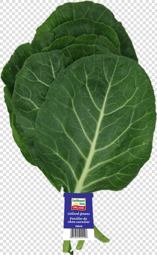 Collard Greens  HD Png DownloadTransparent PNG