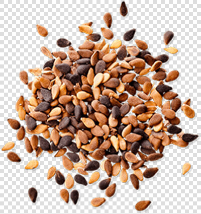 Sesame Seeds Png Pic   Sesame Seeds Png  Transparent PngTransparent PNG