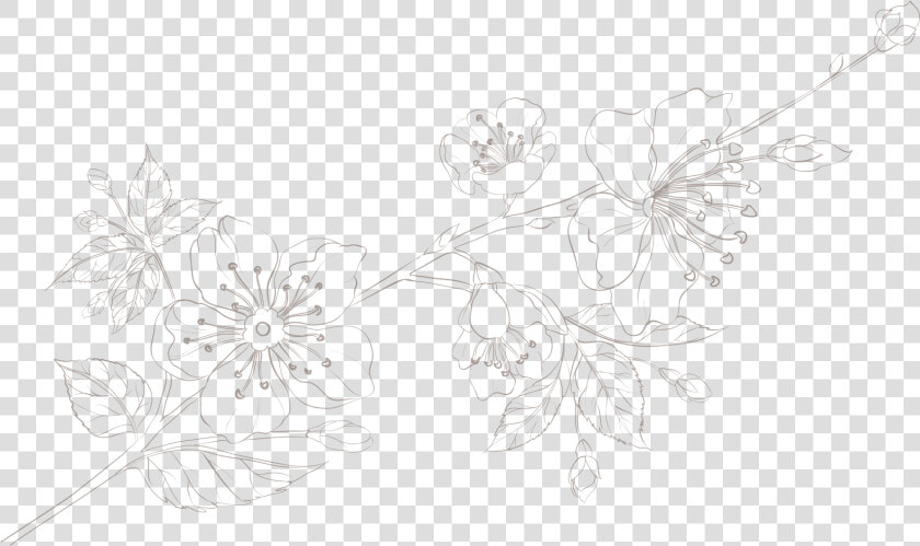 Honeysuckle  HD Png DownloadTransparent PNG