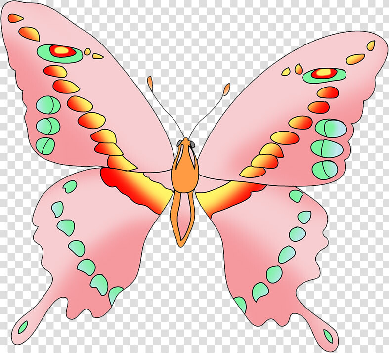 Pink Butterfly Clipart   Swallowtail Butterfly  HD Png DownloadTransparent PNG