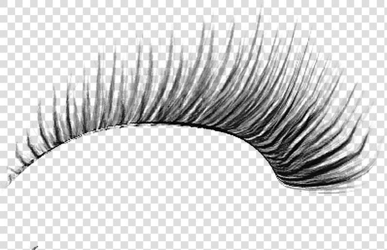 Pestañas Png Para Photoshop   Png Download   Eyelashes Png  Transparent PngTransparent PNG