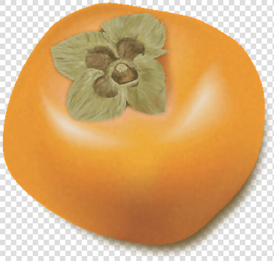 Persimmon  HD Png DownloadTransparent PNG