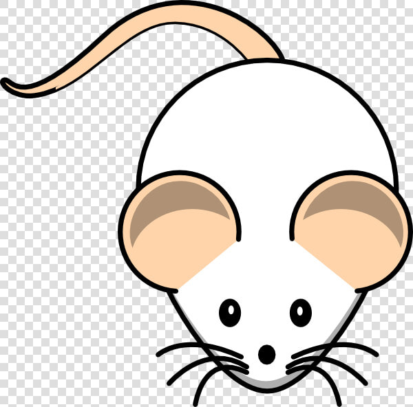 Pet Rat Clipart   Rat Clipart  HD Png DownloadTransparent PNG