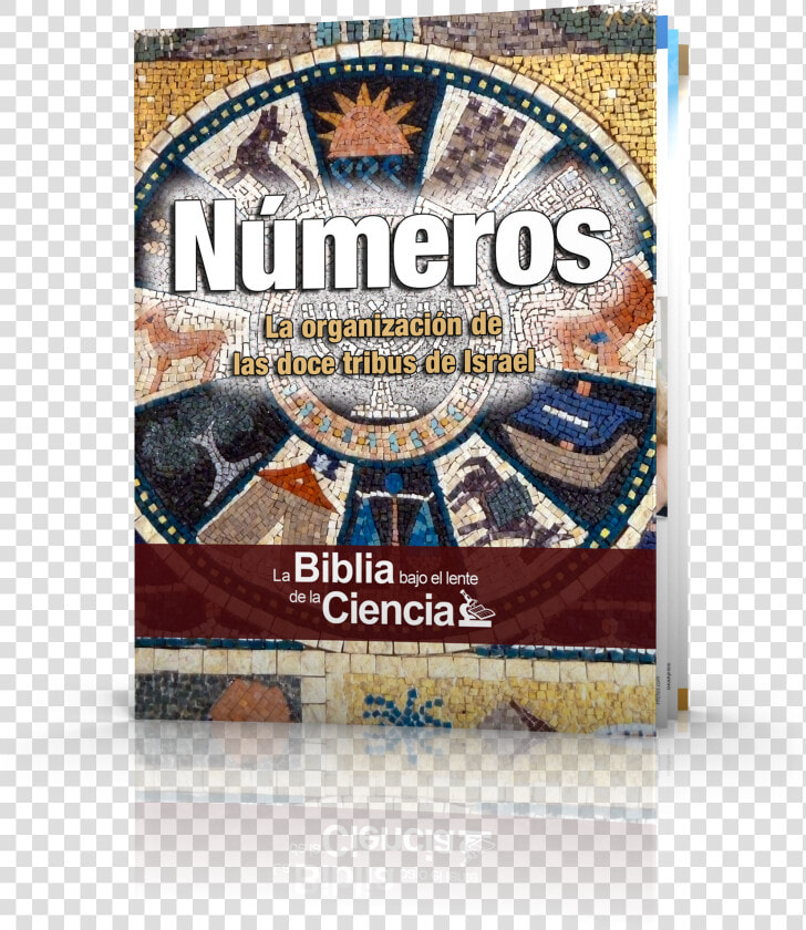 Números   Simbolos De Las 12 Tribus De Israel  HD Png DownloadTransparent PNG