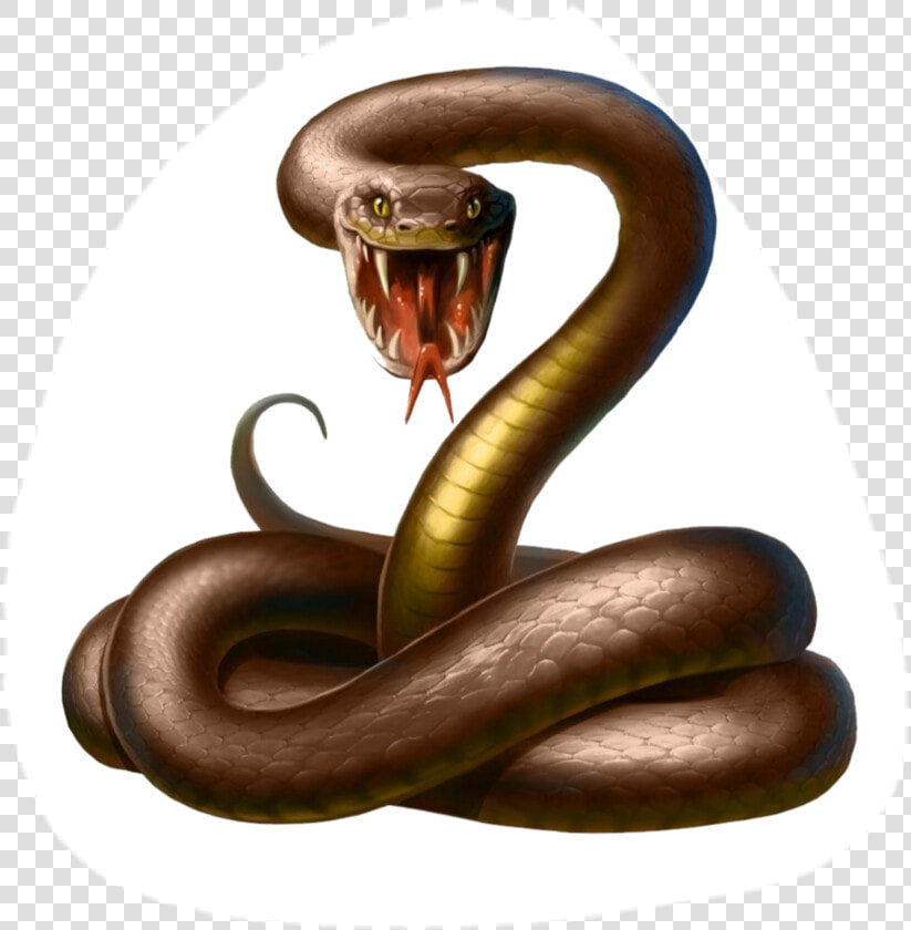  serpentina   Snake Png  Transparent PngTransparent PNG