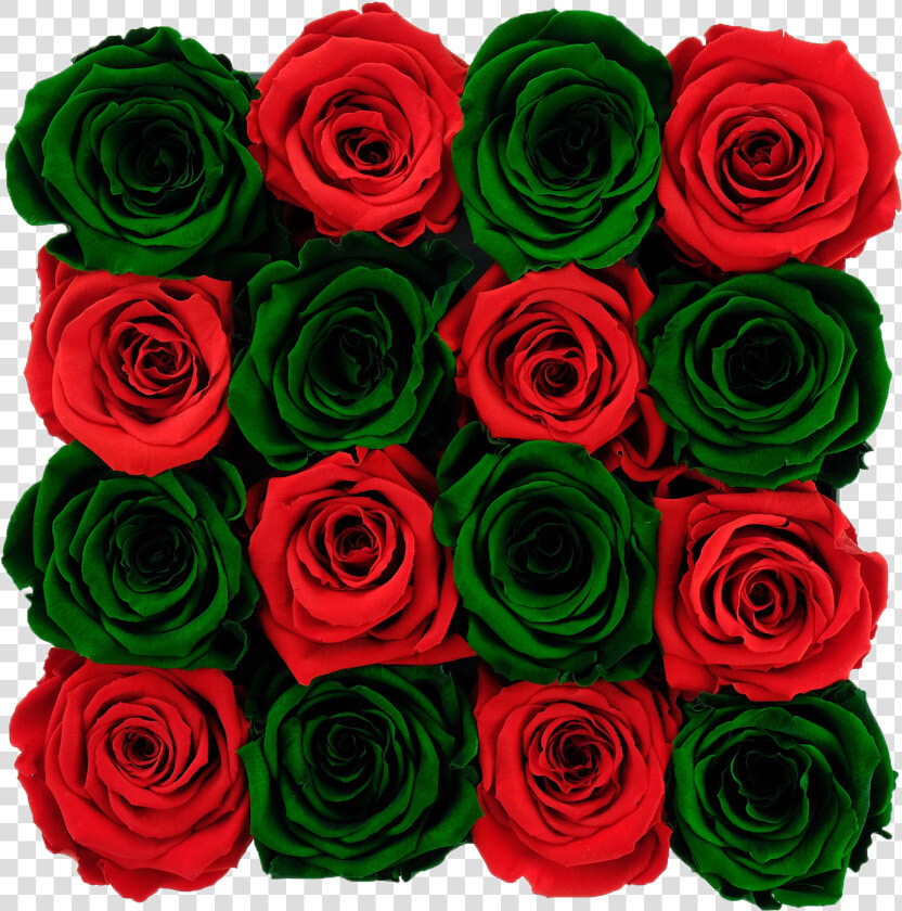 Dark Green Flowers Green Rose  HD Png DownloadTransparent PNG