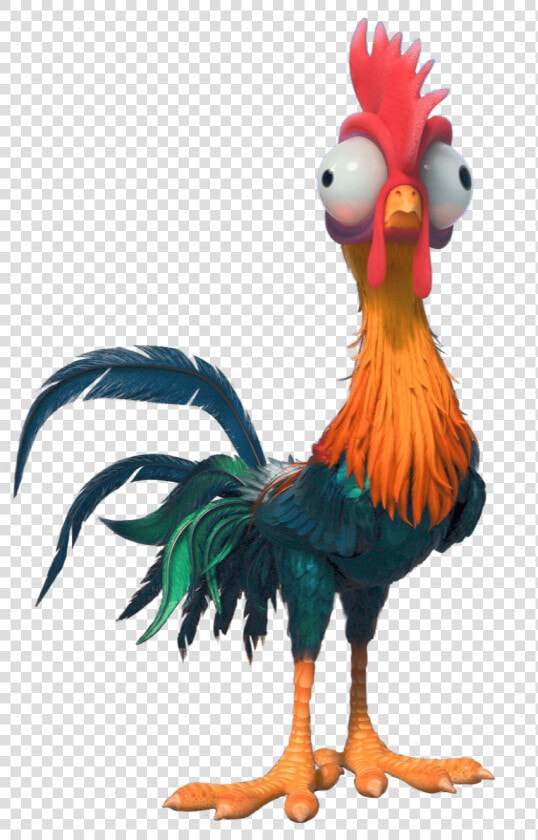 Moana Heihei Png   Hei Hei Png  Transparent PngTransparent PNG