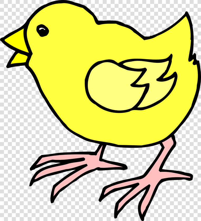 Cartoon Chick Clip Art   Cartoon Image Of A Chick  HD Png DownloadTransparent PNG