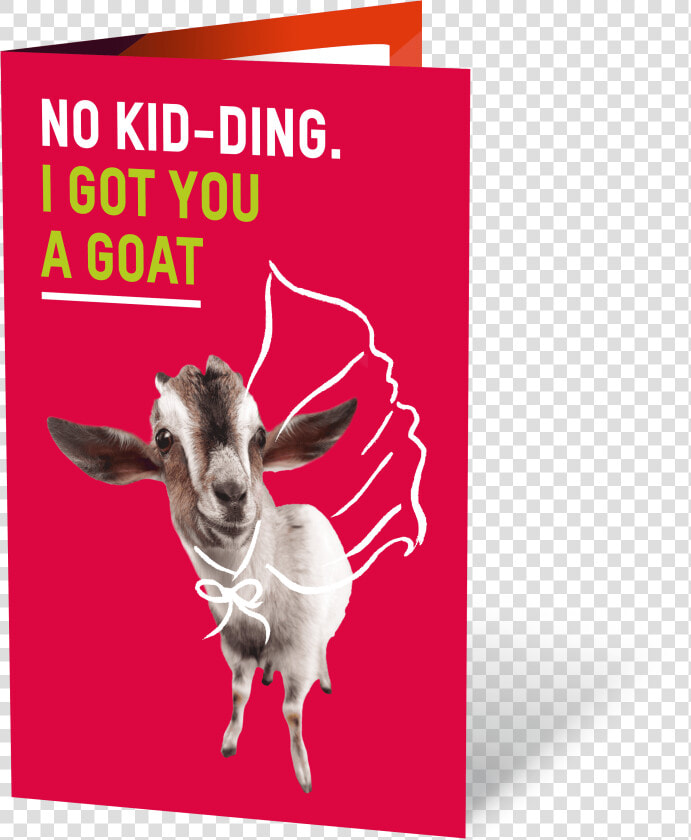 Goat No K   Goat  HD Png DownloadTransparent PNG