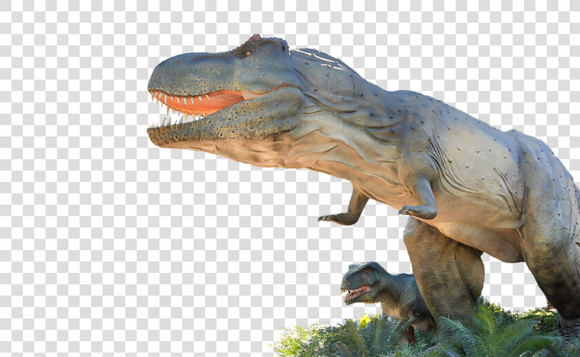 Transparent T Rex Head Png   Adelaide Zoo Dinosaurs Alive  Png DownloadTransparent PNG