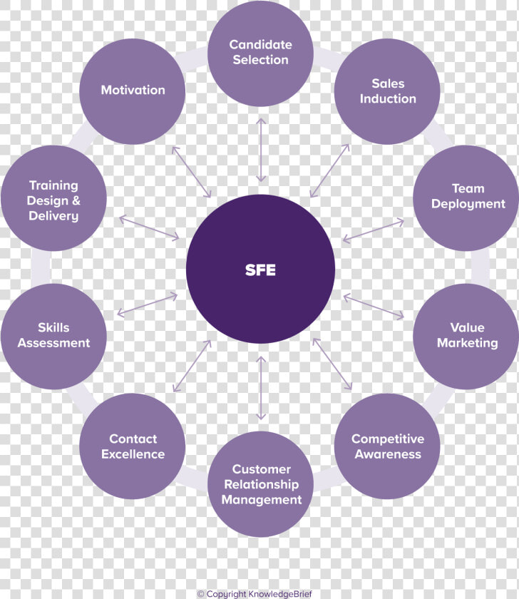 Sales Force Effectiveness   Sales Force Effectiveness Model  HD Png DownloadTransparent PNG