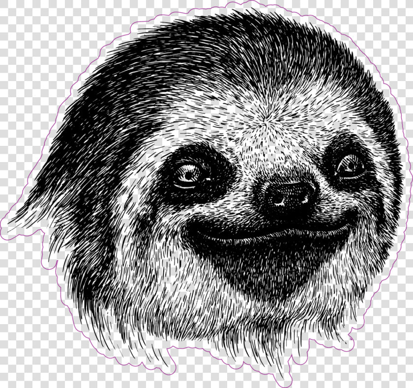 Sloth Face Png   Drawing Of A Sloth Face  Transparent PngTransparent PNG