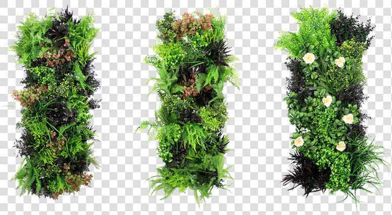 Artificial Vertical Garden   Vertical Green Wall Png  Transparent PngTransparent PNG