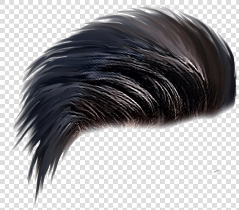 Men Hair Png Transparent Image   Hair Style Png Hd  Png DownloadTransparent PNG