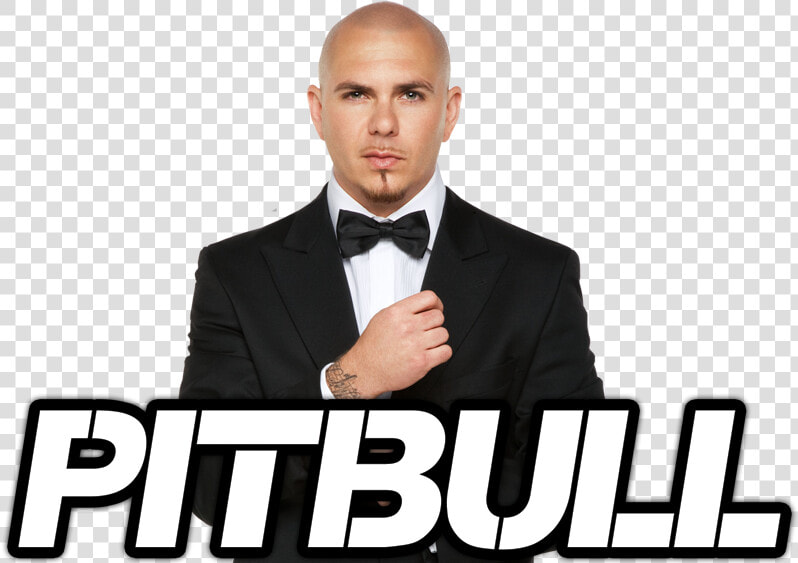 Transparent Pitbull Singer Png   Pitbull  Png DownloadTransparent PNG