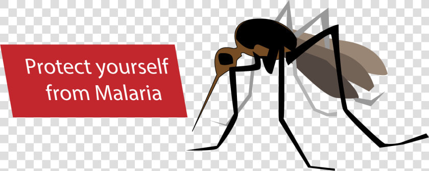 Malaria Mosquito Cartoon Png   Malaria Clipart Png  Transparent PngTransparent PNG