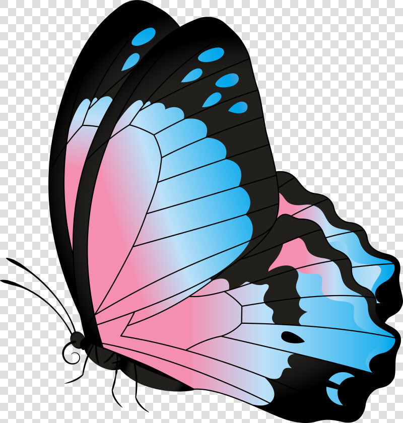 Borboleta Azul E Rosa   Transparent Background Monarch Butterfly Clipart  HD Png DownloadTransparent PNG