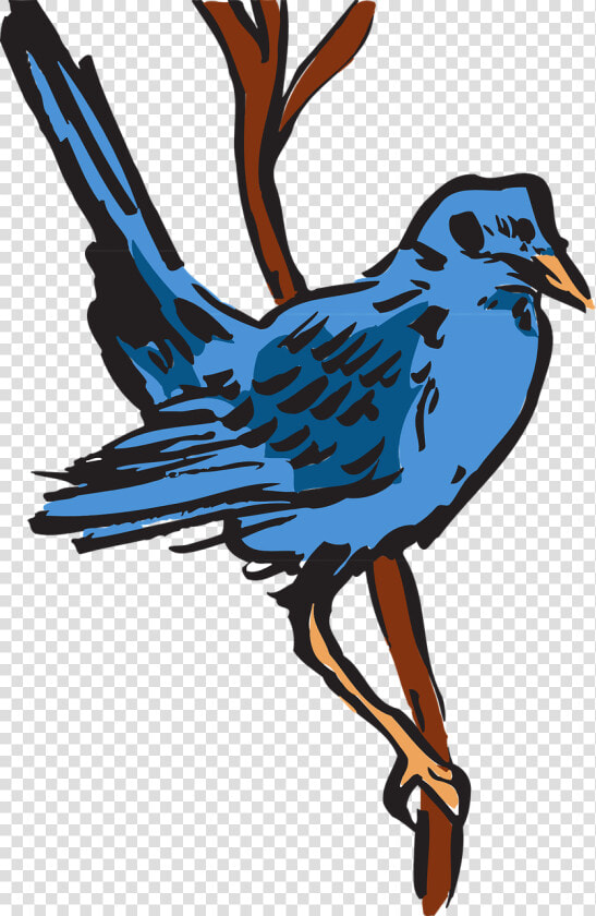 Dessin D Oiseau A Plumes  HD Png DownloadTransparent PNG