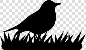 Thrushes   Bird Logo Black And White  HD Png Download