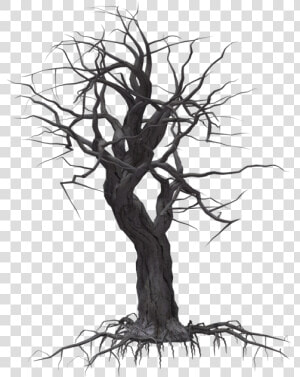 Creepy Tree 05 By Wolverine041269 On Clipart Library   Creepy Tree Transparent Background  HD Png Download