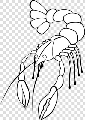 Art monochrome Photography plant   Crawfish Clip Art  HD Png Download