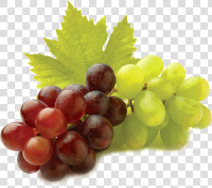 Grape Seed Extracts Gif  HD Png Download