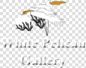 White Pelican Gallery Logo   Seabird  HD Png Download