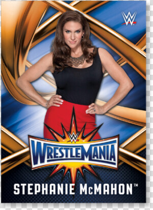 Stephanie Mcmahon 2017 Wwe Road To Wrestlemania Wrestlemania   Roman Reigns Wrestlemania Poster  HD Png Download