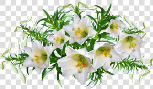 Lilies  Flowers  Perfume  Arrangement  Garden  Nature   Perfume Flowers Png  Transparent Png