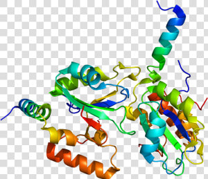 10  24 December   Splicing Factor 3b Structure  HD Png Download