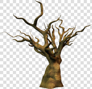 Dead Trees Png   Clipart Oak Tree Trunk  Transparent Png