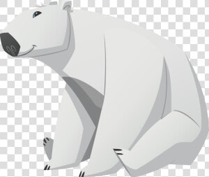 Polar White Bear Png   Draw Animal Jam Polar Bear  Transparent Png