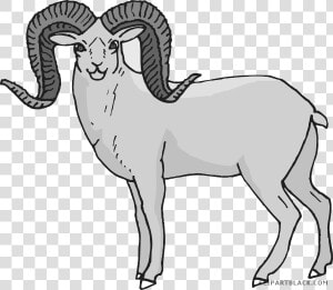 Clip Art Bighorn Sheep Clipart   Bighorn Sheep Clip Art  HD Png Download