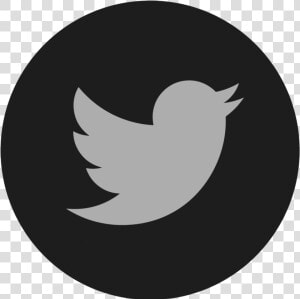 Twitter Twitter Logo Button Png    Twitter Logo  Transparent Png