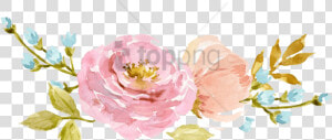 Watercolor Flowers Png Peach Free Png Transparent Watercolor   Transparent Transparent Background Watercolor Flowers  Png Download