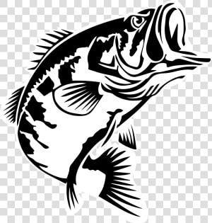 Bass Fishing Largemouth Bass 2016 Bassmaster Classic   Largemouth Bass Bass Fish Silhouette  HD Png Download