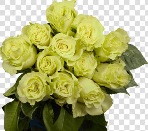 Dozen Green Roses Cheap Fresh Flowers   Floribunda  HD Png Download