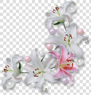 Clip Art Gifs Com Fundos Transparentes   White Flower Corner Png  Png Download