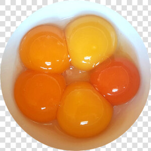 Egg Yolks Png  Transparent Png