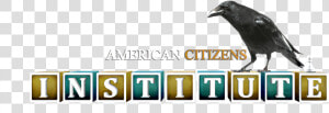 American Citizens Institute Logo   American Crow  HD Png Download