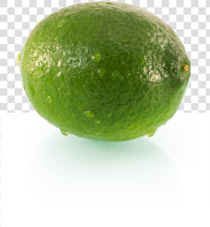 Transparent Limes Png   Persian Lime  Png Download